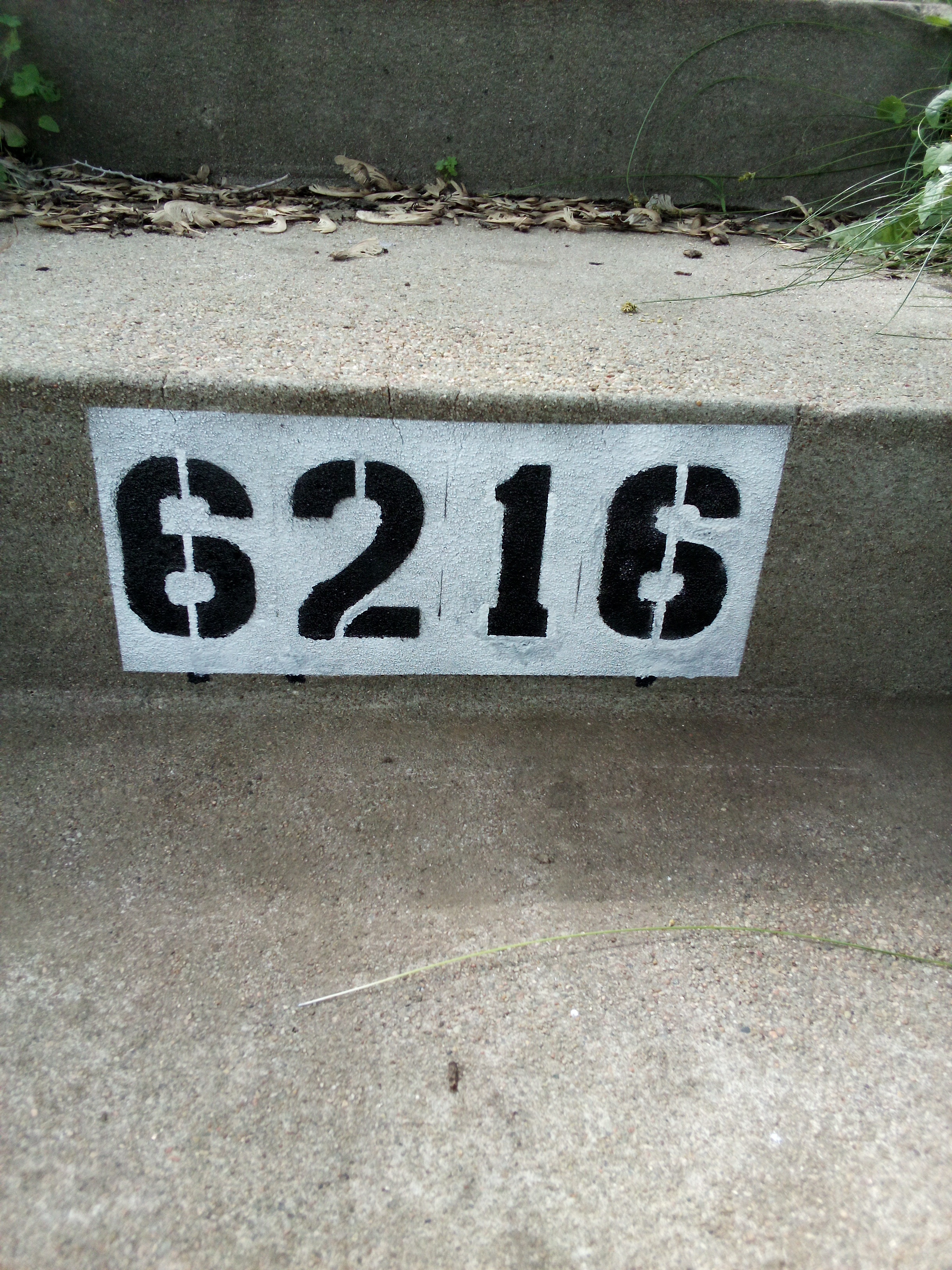 Curb Work 3